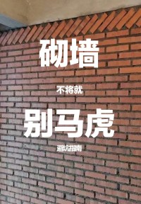 砌墻千萬(wàn)別聽(tīng)泥水師傅的！